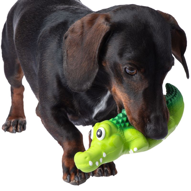 Dog Toy | Funny Green Crocodile